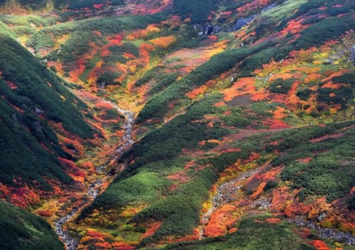 写真で観る「日本の秋」