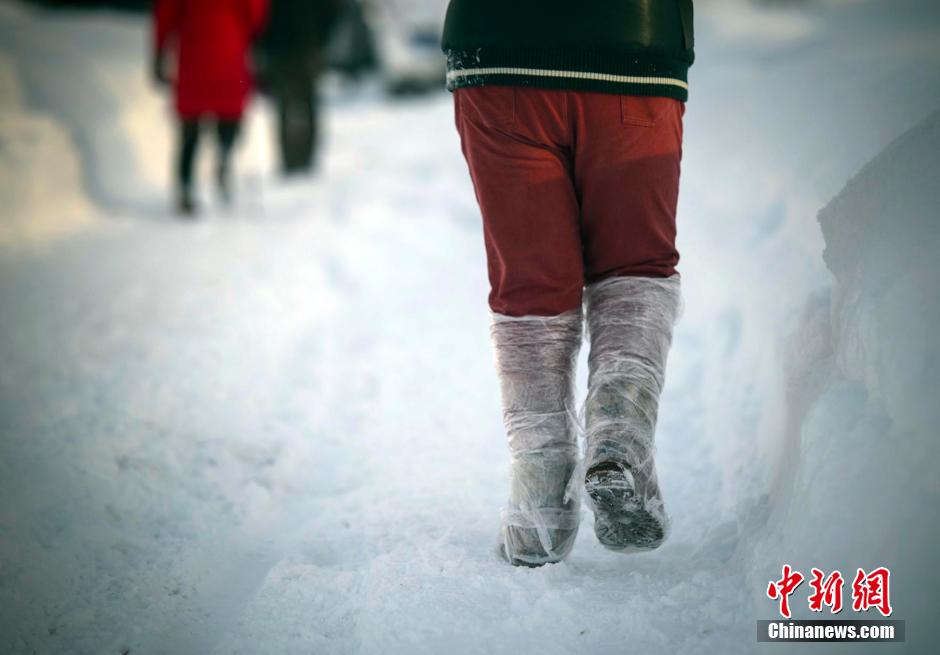 新疆に降り続く雪、最も美しい景色を迎えた禾木