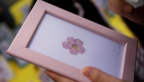 武漢大学卒業生が「桜の押し花」販売、数時間で１万元の売上げ