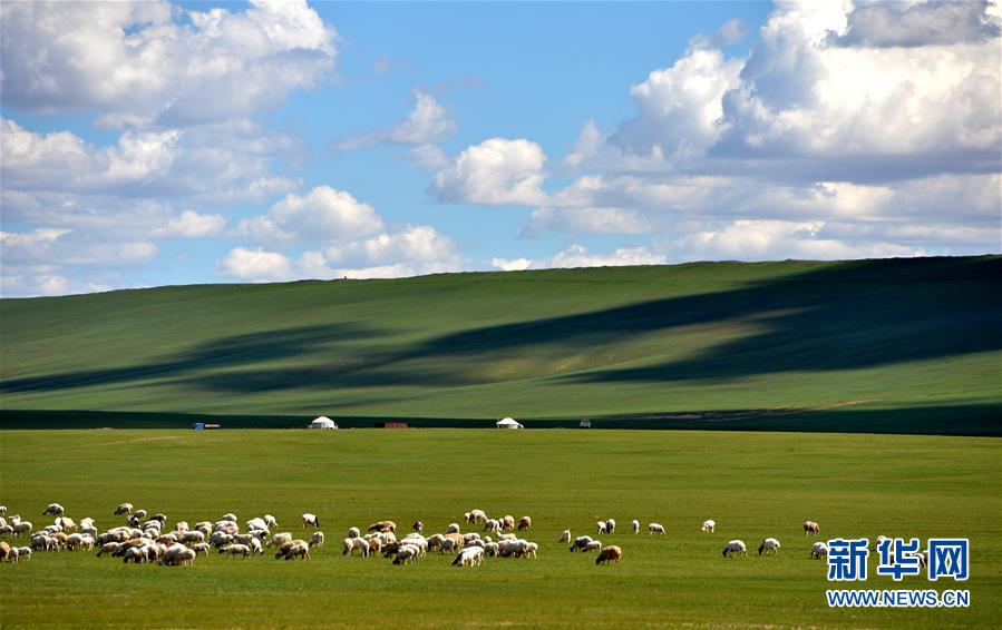 夏のシリンゴル草原に広がる絶景　内モンゴル