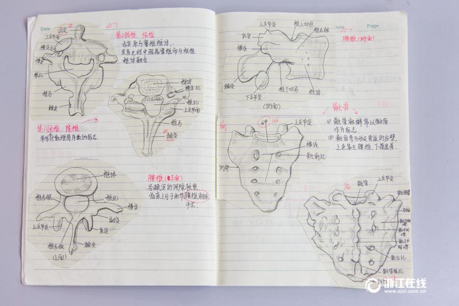 印刷のような文字に精密な手描きイラスト、驚きの解剖学ノートが話題に