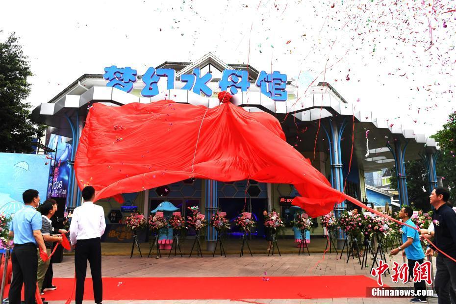 中国最大規模のクラゲ水族館登場 成都市 