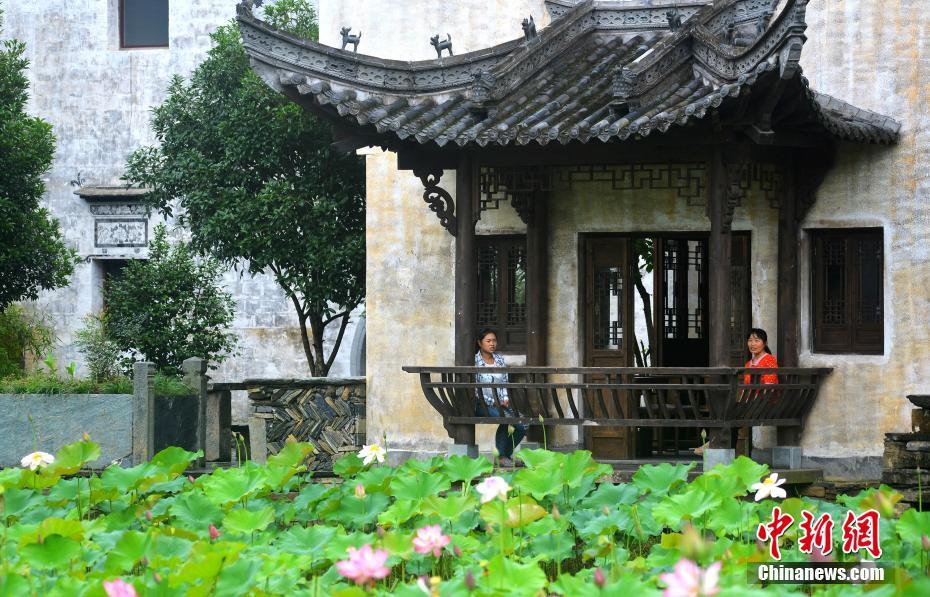 気温上昇して夏入りの江西省の「最も美しい村」　ハスの花が見ごろに