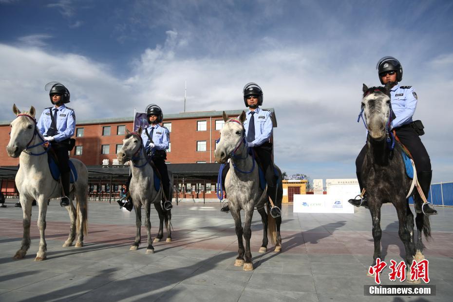 青海省の景勝地に騎馬警察が颯爽と登場