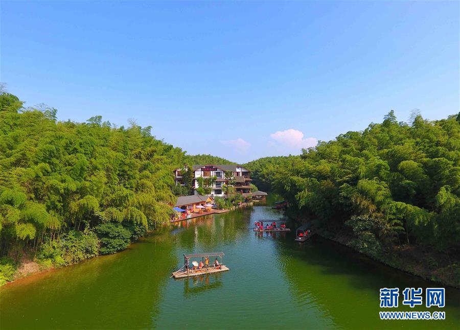 「蜀南竹海」の涼やかな夏の風景　四川省