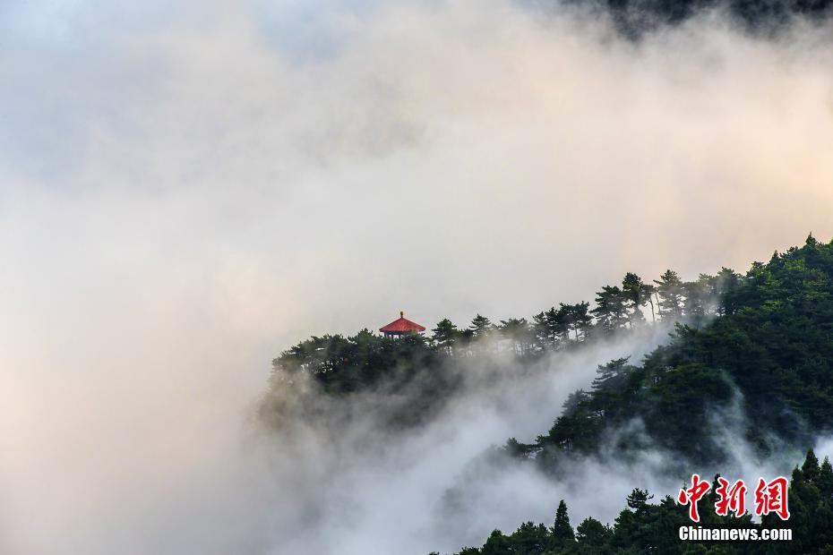 雲霧に包まれた幻想的な風景　世界でも名高い廬山の雲海