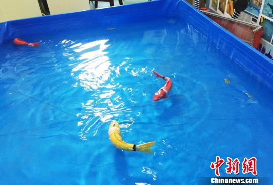 甘粛省の大学、本物そっくりのロボット魚を開発