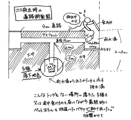 自作のペットボトルバケツで排水溝の奥に落下した子猫を救出　日本