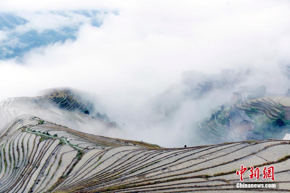 雲霧渦巻く竜脊棚田の幻想的な風景　広西壮（チワン）族自治区