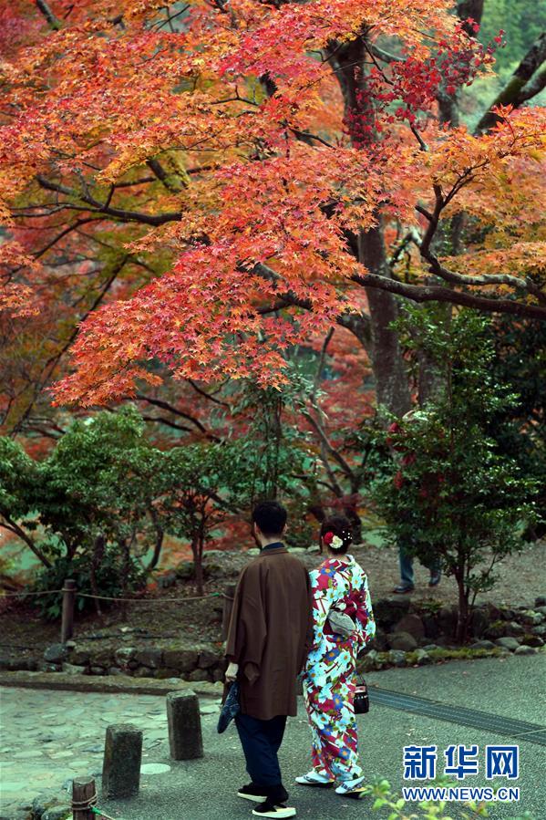 紅葉に彩られた京都の嵐山