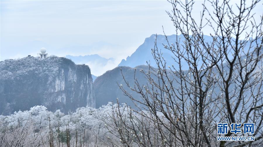 絵画のような美しい雪景色　樹氷で飾られた張家界の山