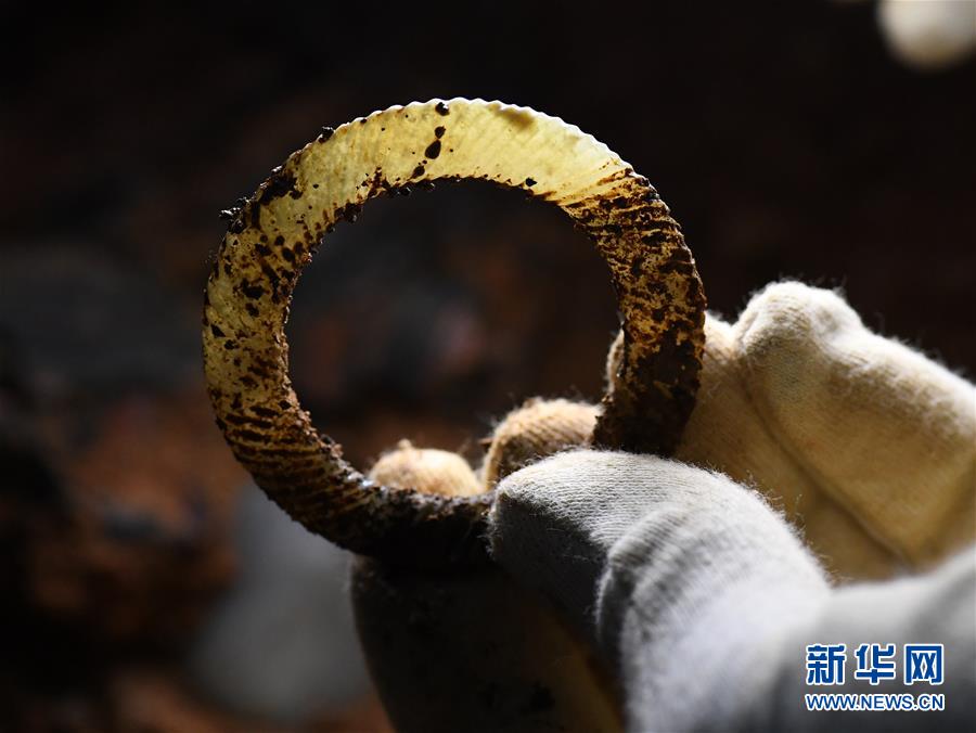 海昏侯墓園5号墓主棺から美しい玉器が出土