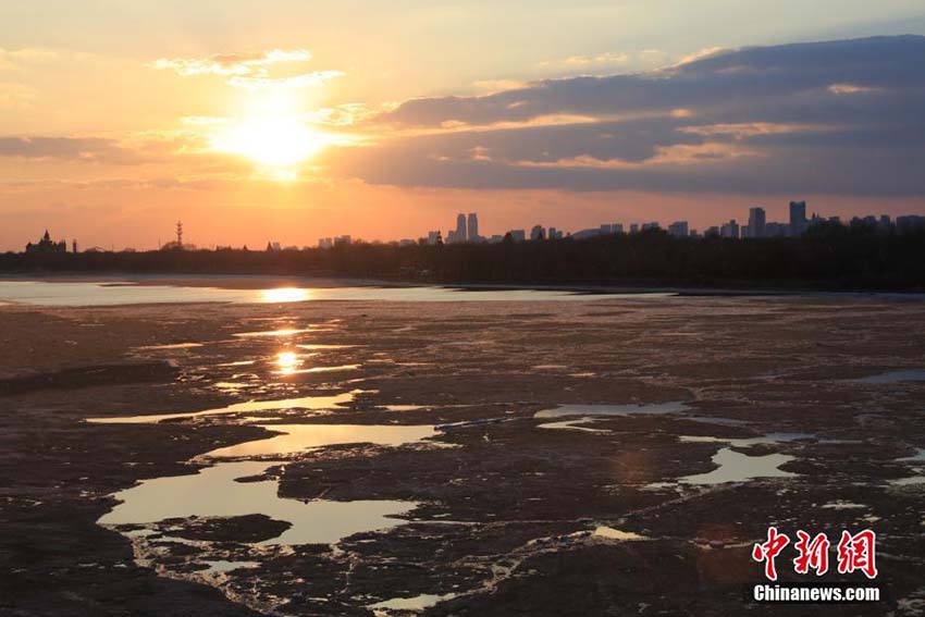 気温上昇でハルビン市の松花江の氷溶ける　黒竜江省