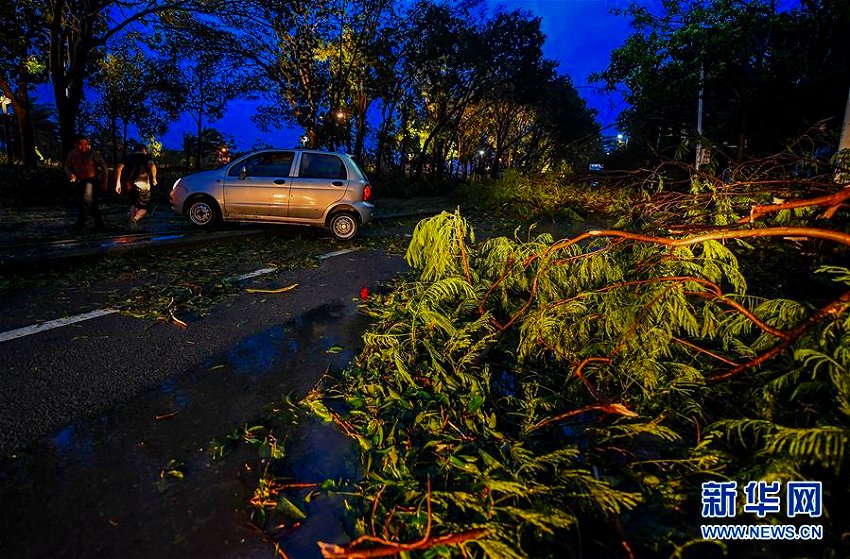 大型で強い台風22号が16日午後に広東省に上陸