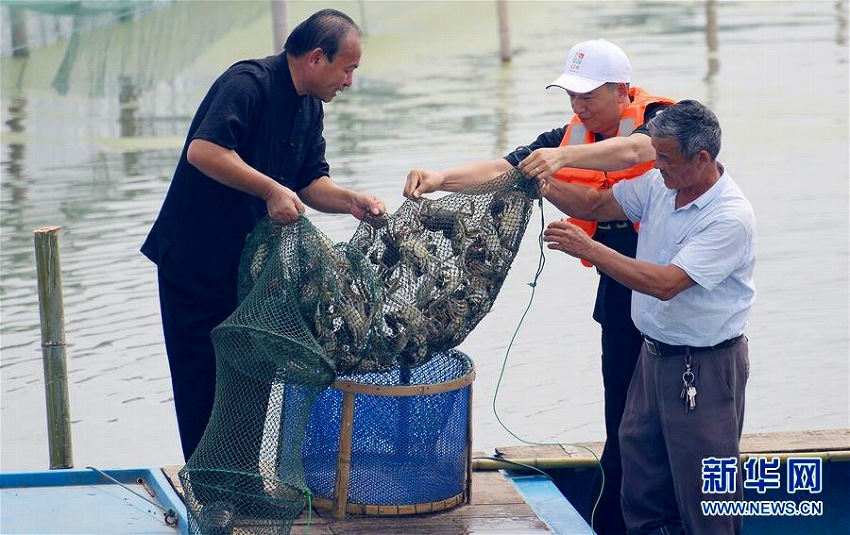 蘇州陽澄湖で観光祭開催　上海蟹の捕獲体験を楽しむ観光客