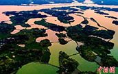 美しい舂陵国家湿地公園