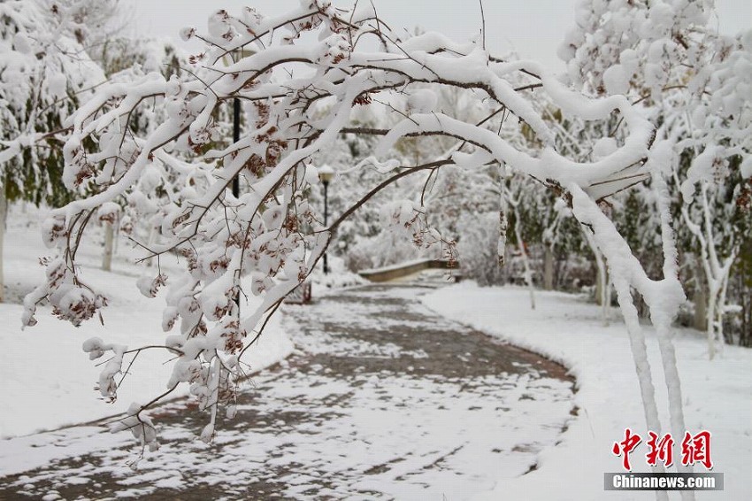 青海省西寧市で降雪　都市全体が白銀の世界と化す　