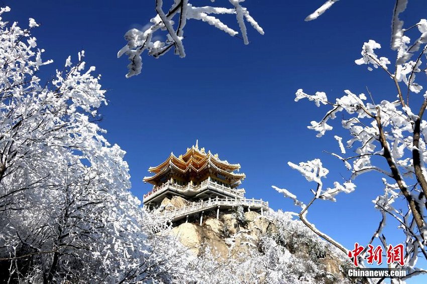 河南老君山、降雪後の清々しい雪景色