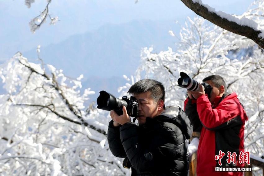 河南老君山、降雪後の清々しい雪景色