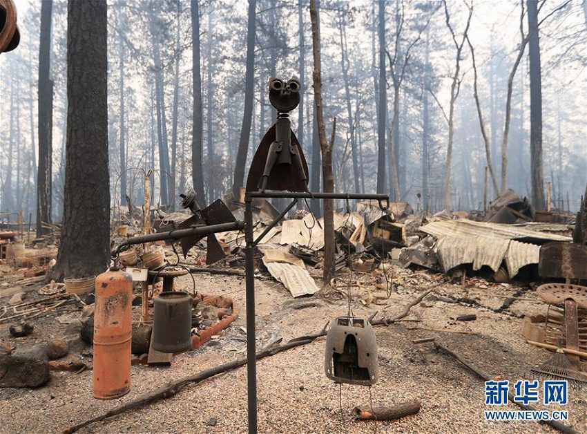 米カリフォルニア州北部の山火事、死者が48人に