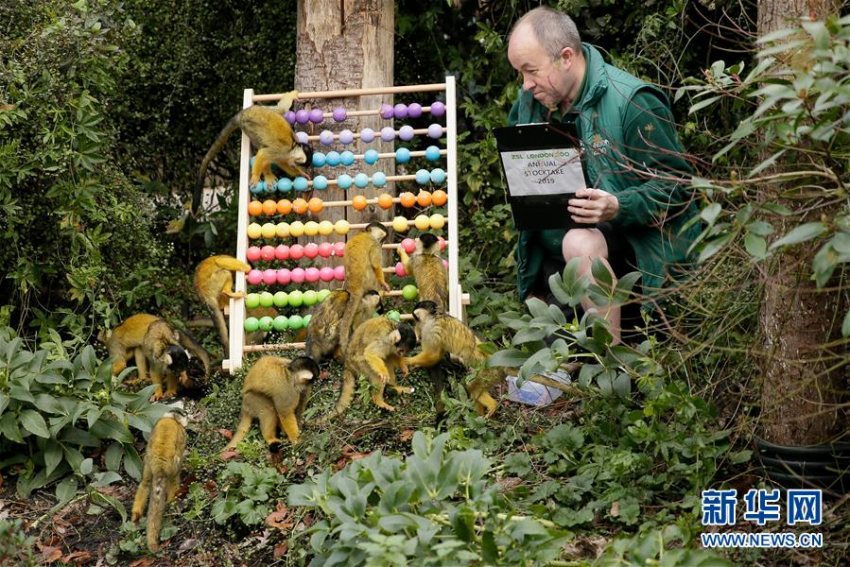 ロンドン動物園で年に1度の動物の数を数える検査