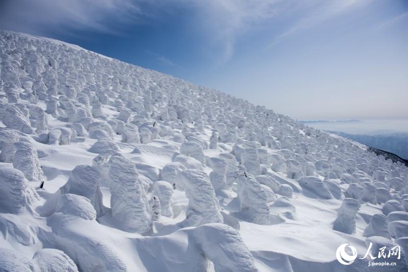 最上部に広がる美しい樹氷原　山形県山形市の蔵王温泉スキー場