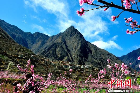 桃の花が彩り添える集落（撮影・高雪飛）。