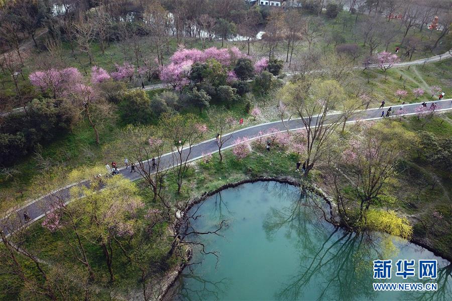 西溪湿地を散策する観光客の様子（3月16日ドローンによる撮影・黄宗治）。