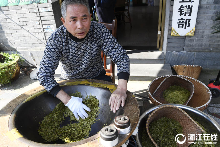 杭州市梅家塢で緑茶・西湖龍井が収穫期　 清明前の茶葉は500グラム4万円