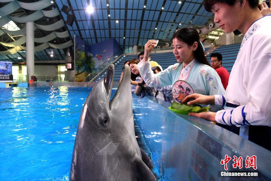 漢服姿でイルカに魚用の「特製粽」を与える海洋館の飼育員（撮影・韓蘇原）。