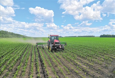 夏至を迎え、夏季の農作業が繁忙期に