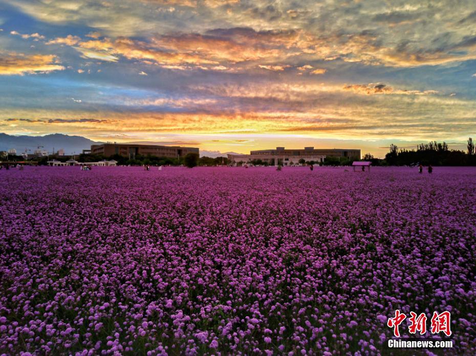 雨上がり、美しい夕焼け広がる甘粛省金昌市