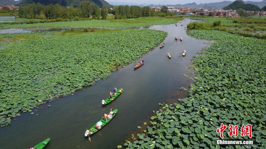 人々を魅了する風光明媚な普者黒国家湿地公園　雲南省