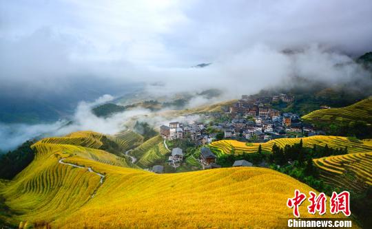 棚田と雲霧が織りなす美しい風景（撮影・潘志祥）。 