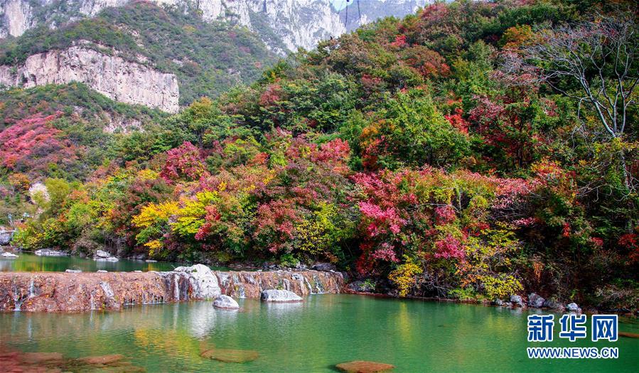 28日に撮影された河南省修武県の雲台山景勝地に広がる秋景色（撮影・馮大鵬）。