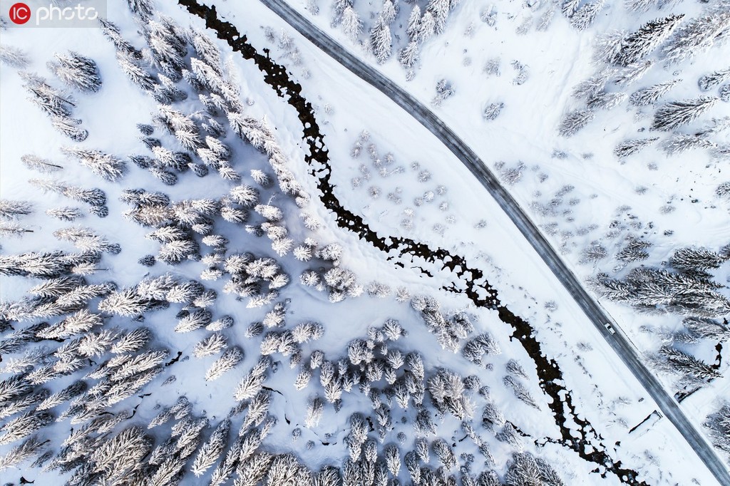 一面の銀世界にうっとり…空から眺めた世界の雪景色