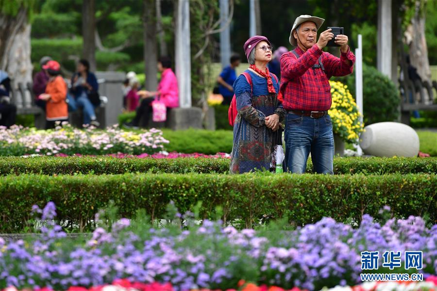 2019台北菊展が開幕　台湾地区