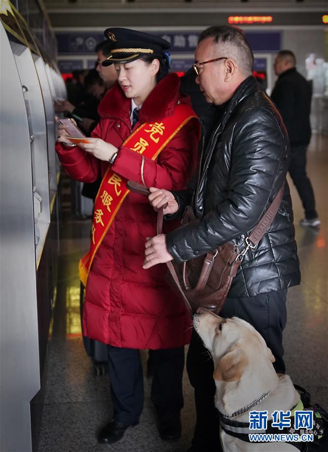 盲導犬が高速鉄道に同乗、目の不自由な乗客も安心　河南省