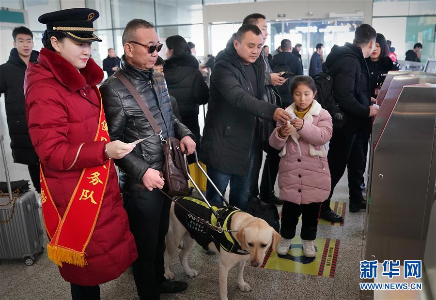 盲導犬が高速鉄道に同乗、目の不自由な乗客も安心　河南省