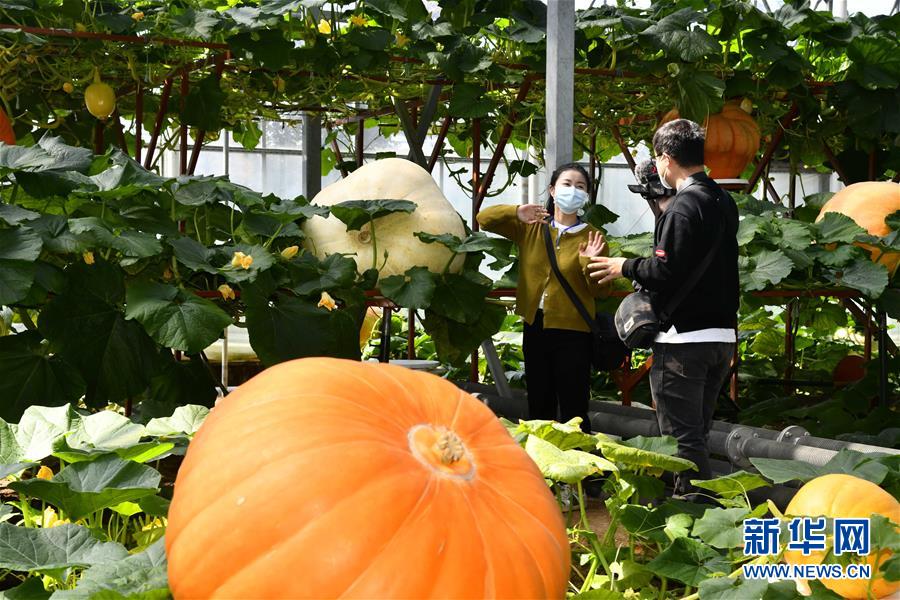 4月20日、寿光国際野菜科学技術博覧会展示館でライブ配信を行うパーソナリティ（撮影・郭緒雷）。