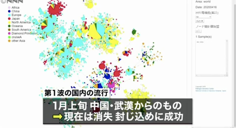 日本の国立感染症研究所は、現在日本国内で中国武漢の新型コロナウイルスは消失したと分析（グラフ出所／JNN）。