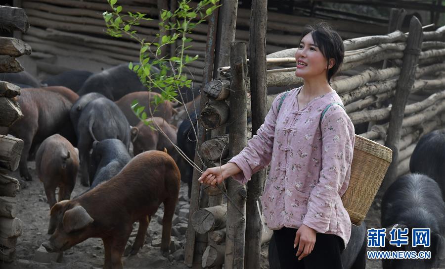 秦嶺の山奥で養豚に従事する1990年代生まれの女性　陝西省