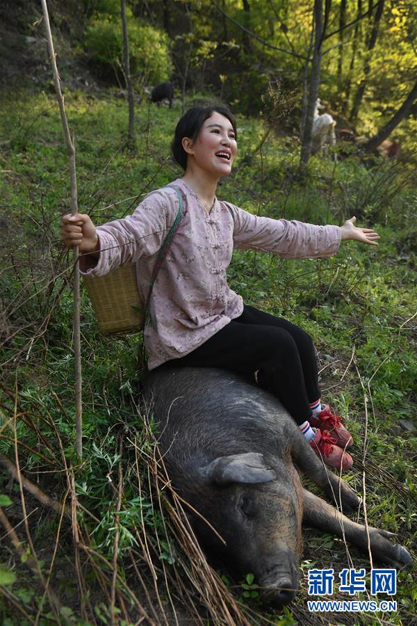 秦嶺の山奥で養豚に従事する1990年代生まれの女性　陝西省