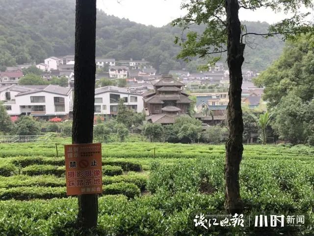 「千と千尋の神隠し」の銭湯そっくりの民家が話題に　西湖景勝地