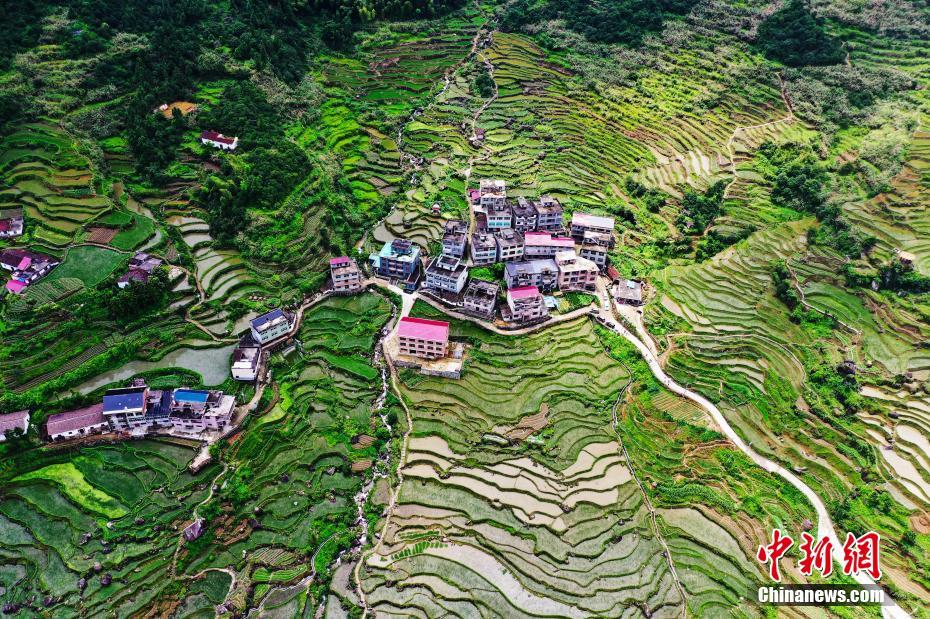 空撮された望仙郷の葛路棚田の田園風景（撮影・劉占昆） 。