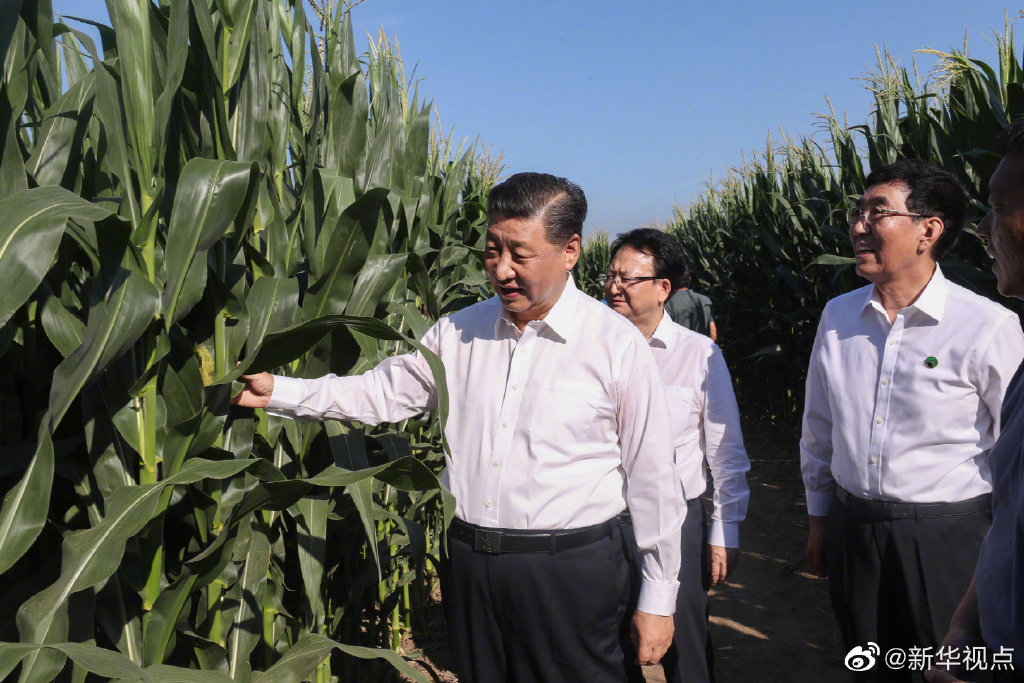 習近平総書記が吉林省視察　食糧生産等の状況を把握