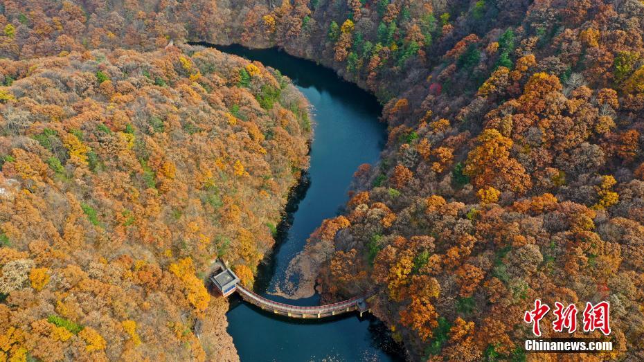 10月26日、河南省洛陽市白雲山景勝地の秋景色（撮影・牛書培）。