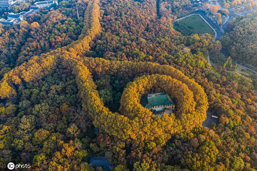 上空から撮影した朝の光に照らされた南京美齢宮（写真著作権は東方ICが所有のため転載禁止）。