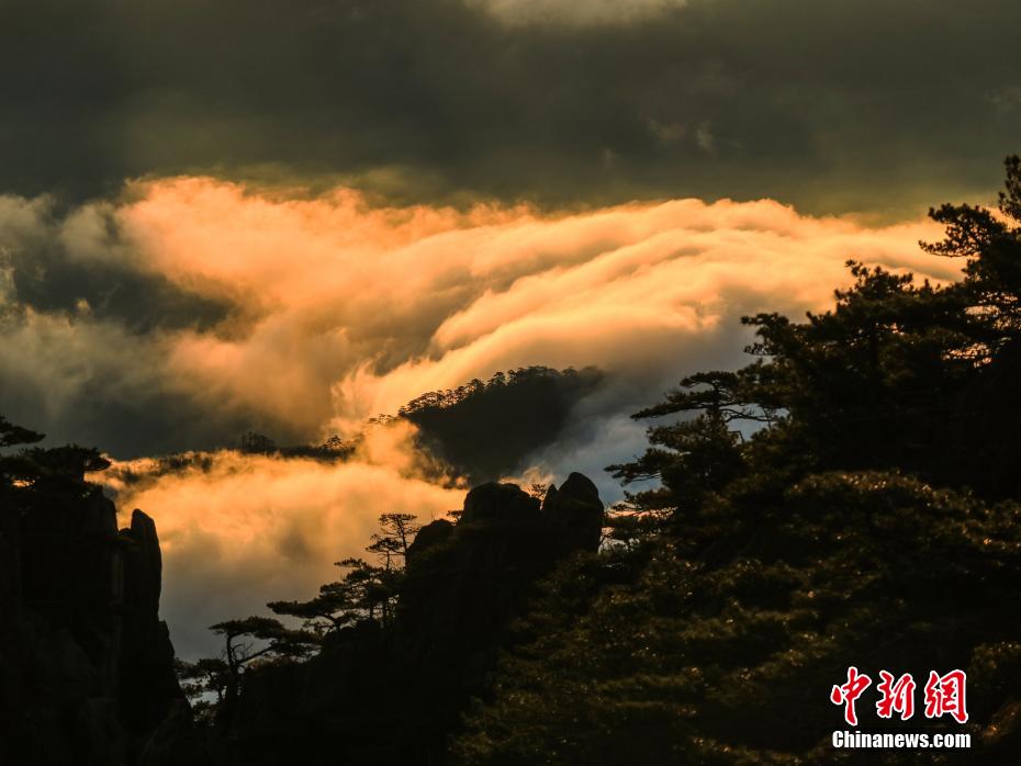 1月24日、安徽省黄山景勝地に現れた巨大な雲海の景観（撮影・李金剛）。