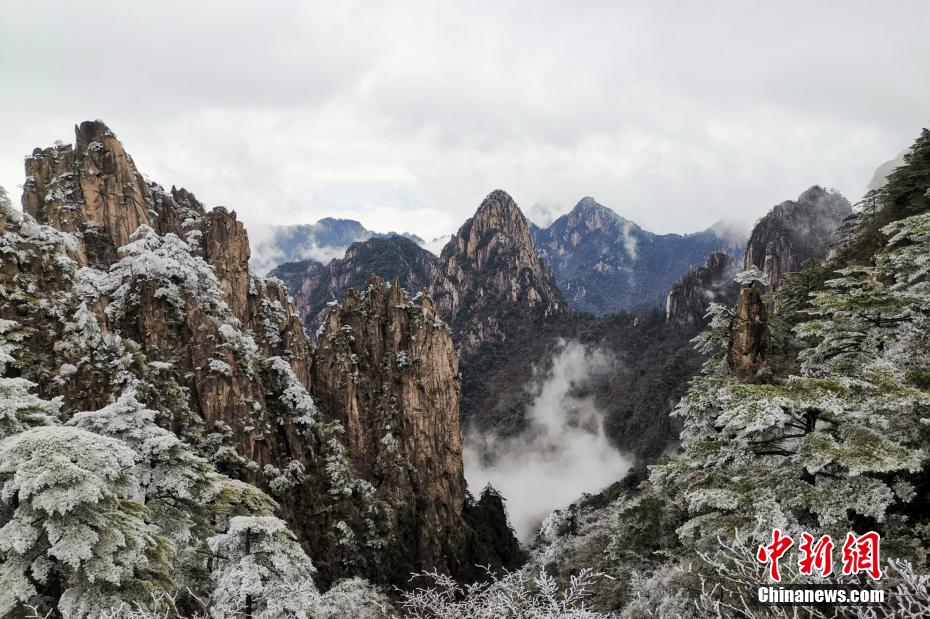 黄山景勝地の氷に覆われ、クリスタルのような美しさをたたえる霧氷。